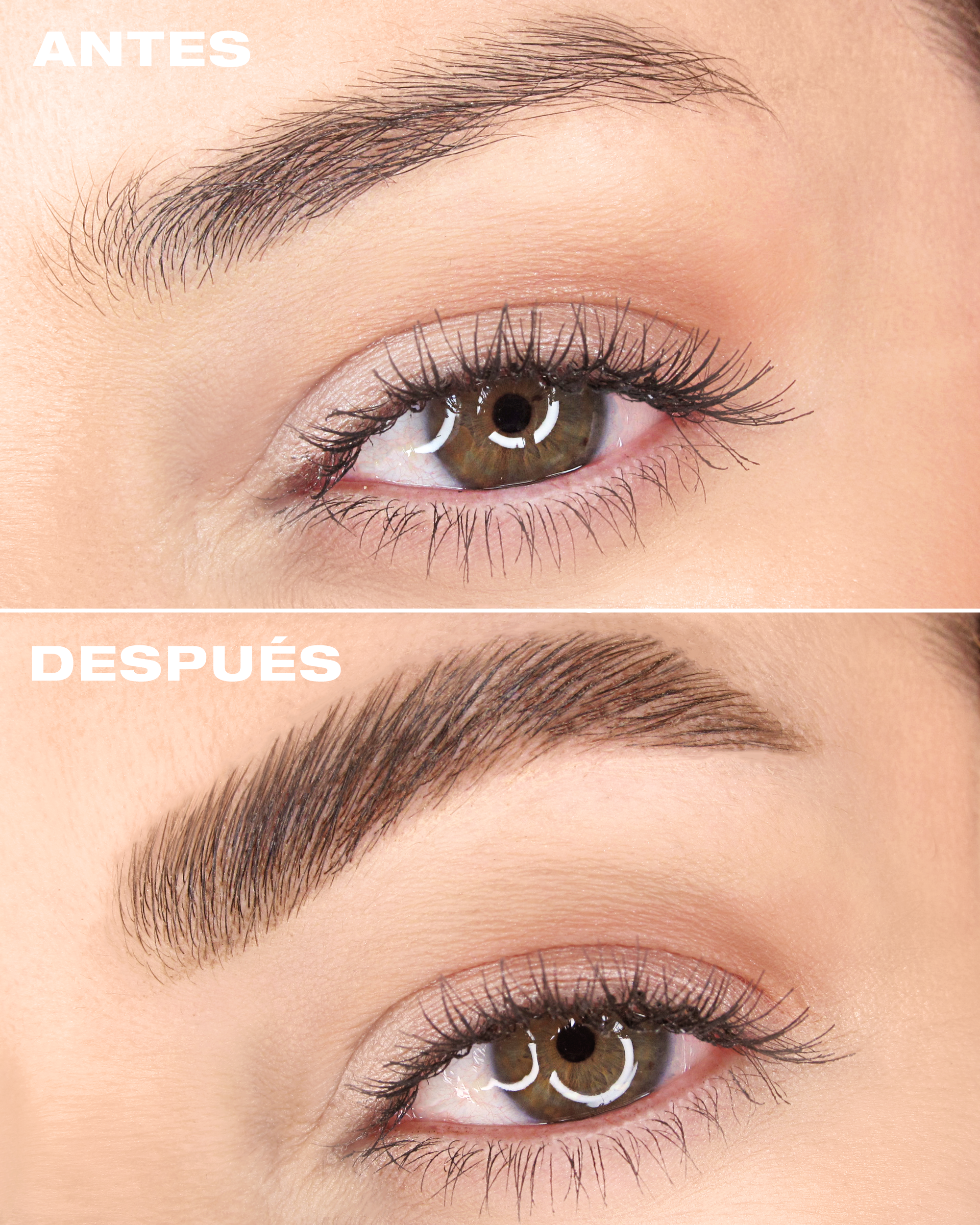 Estilizador de cejas - Gel on Fleek