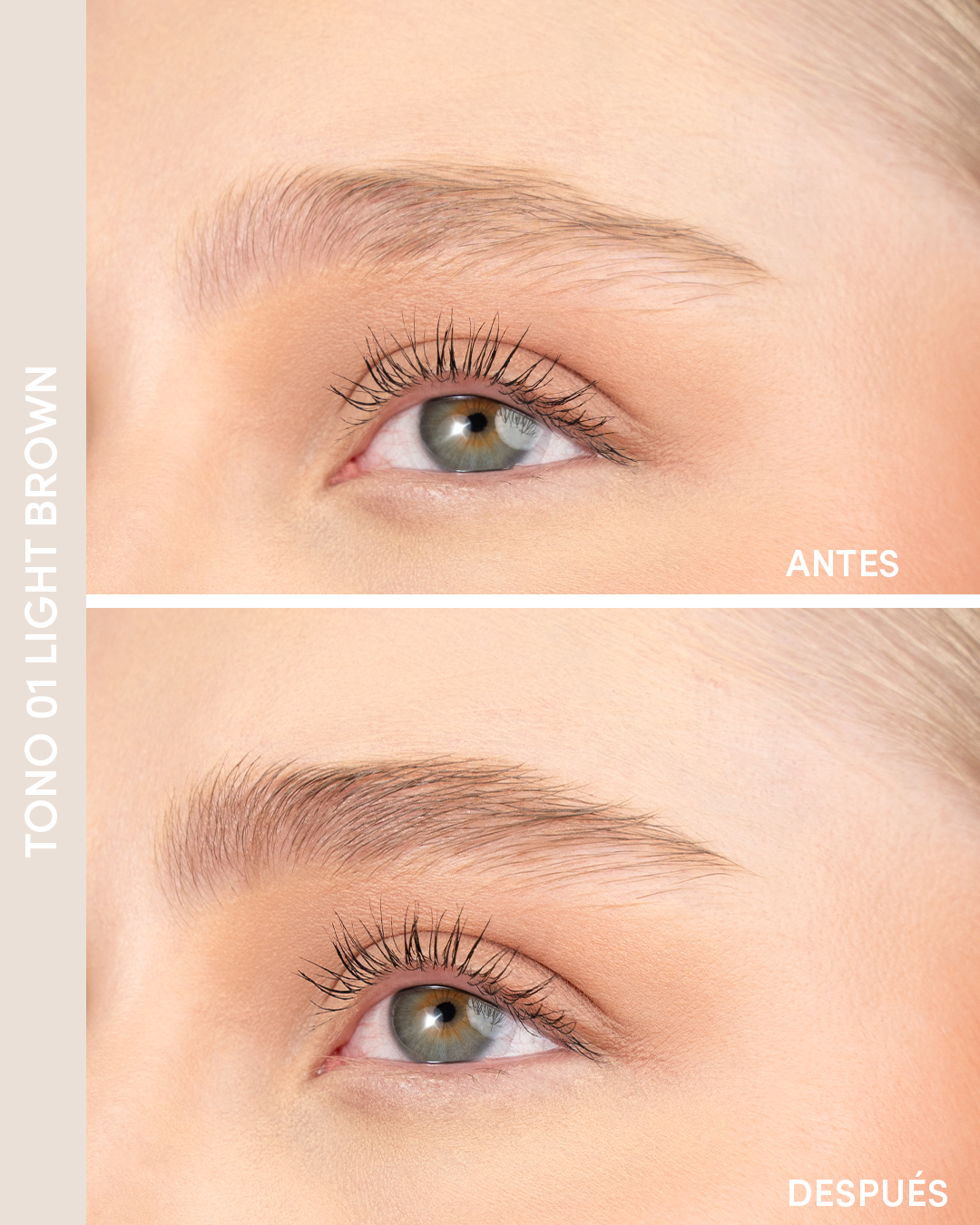 Voluminizador de Cejas