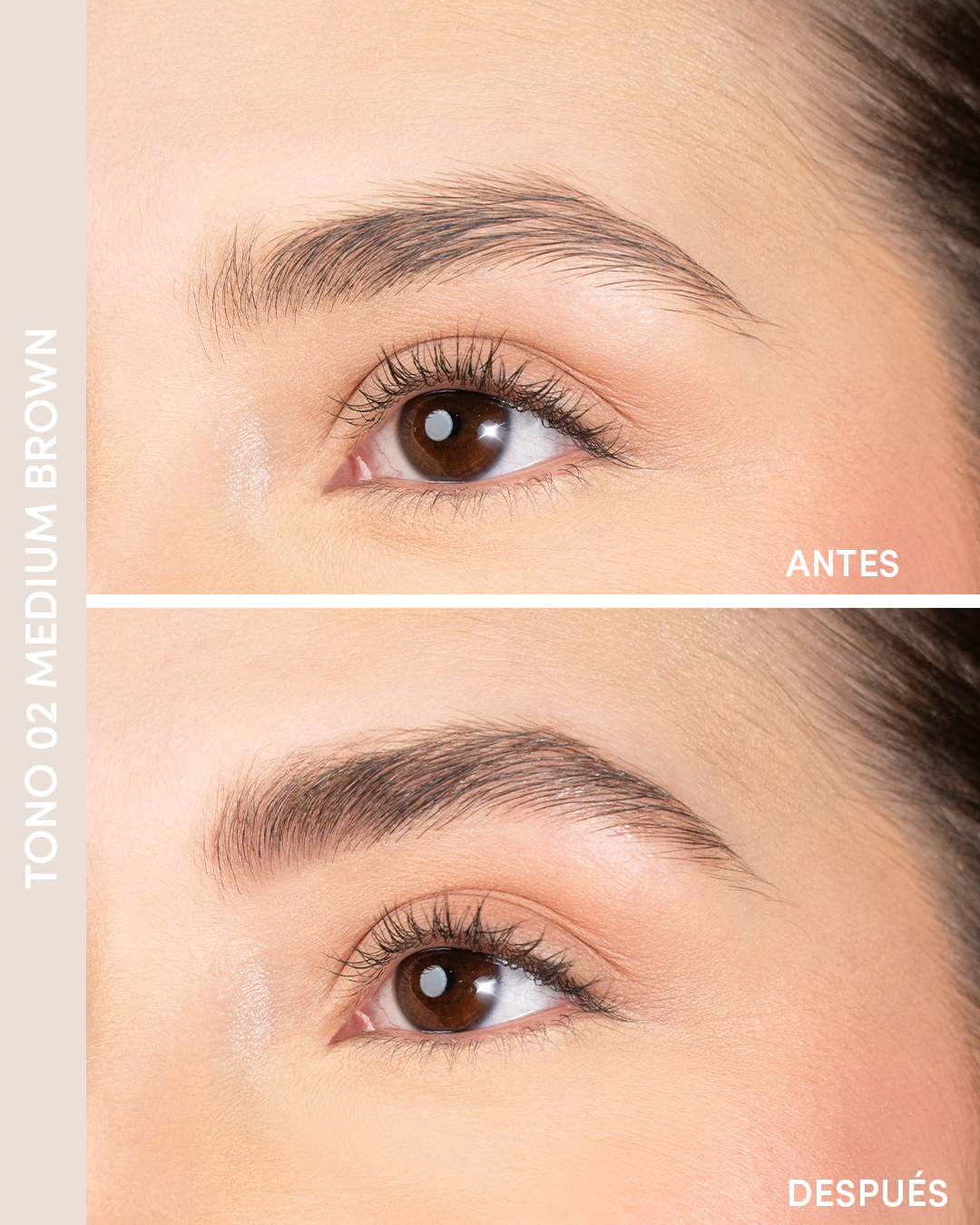 Voluminizador de Cejas